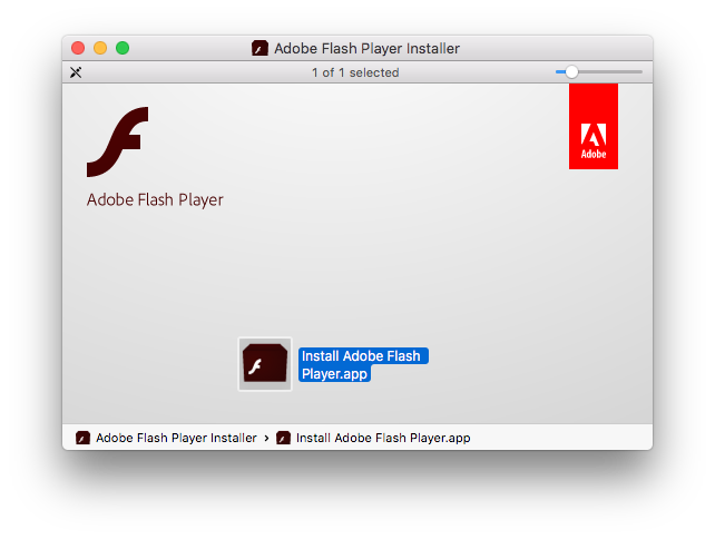 Run adobe flash player update
