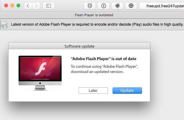 Download flash plugin from adobe
